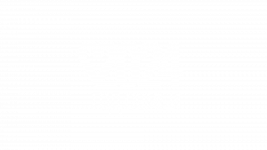 Год Семьи 2024